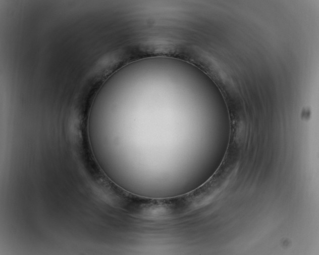 X0000103400643200809121243