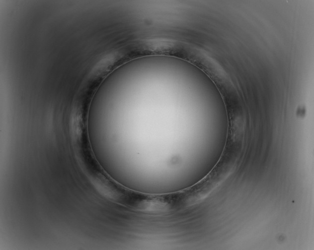 X0000103400644200809121243