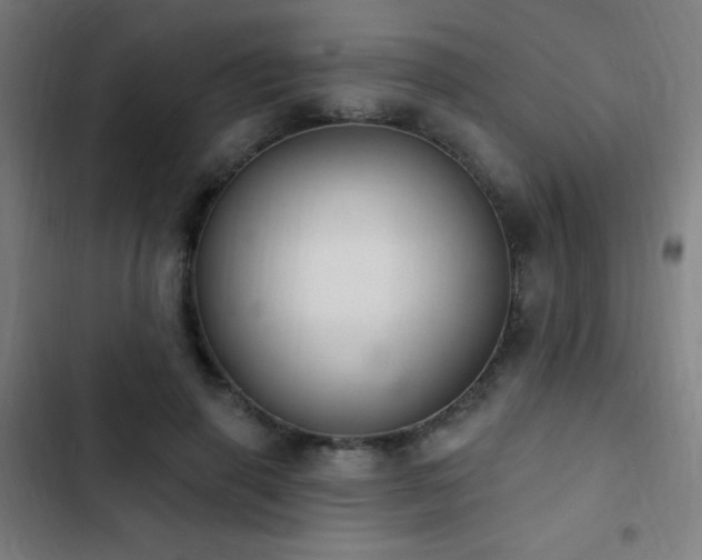 X0000103400645200809121243