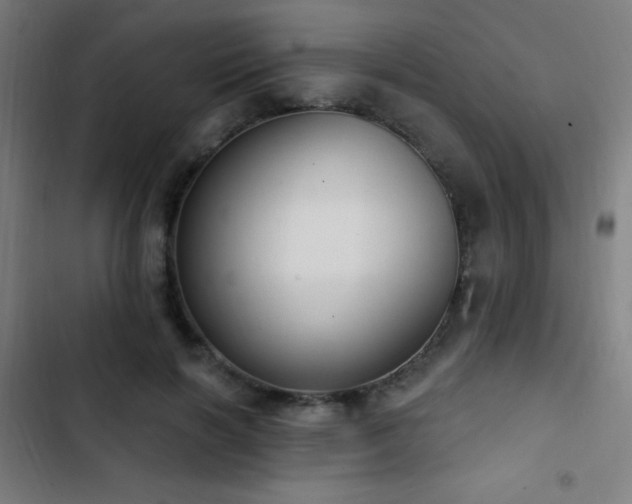 X0000103400646200809121243