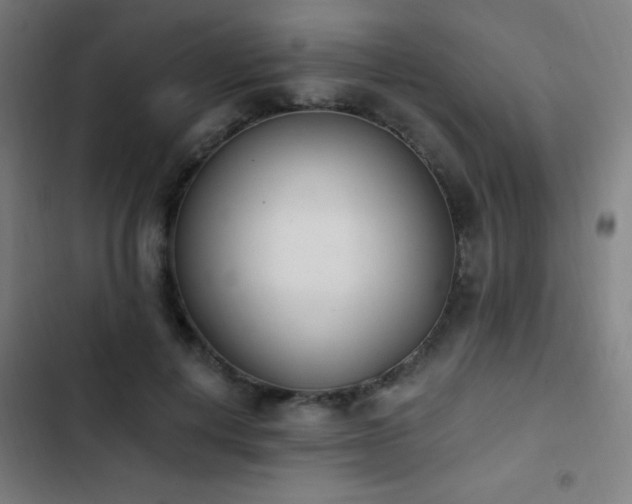 X0000103400648200809121243