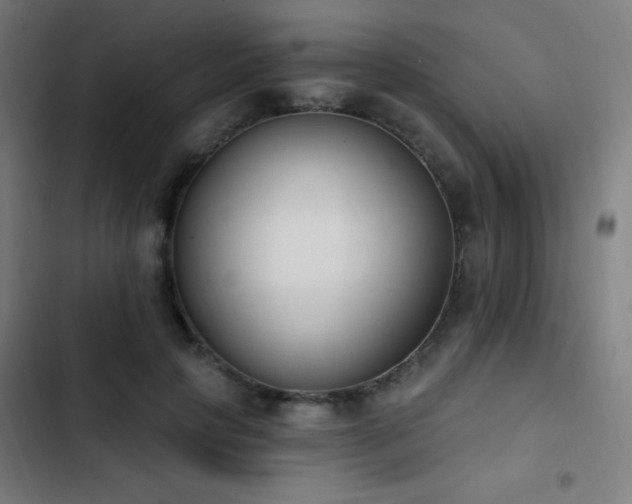 X0000103400649200809121243