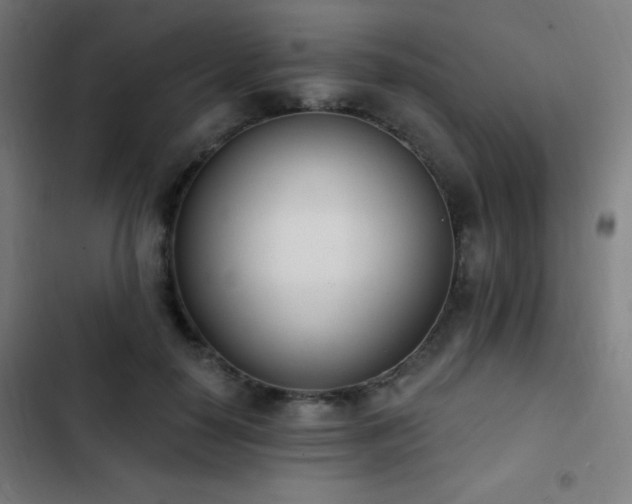 X0000103400650200809121243