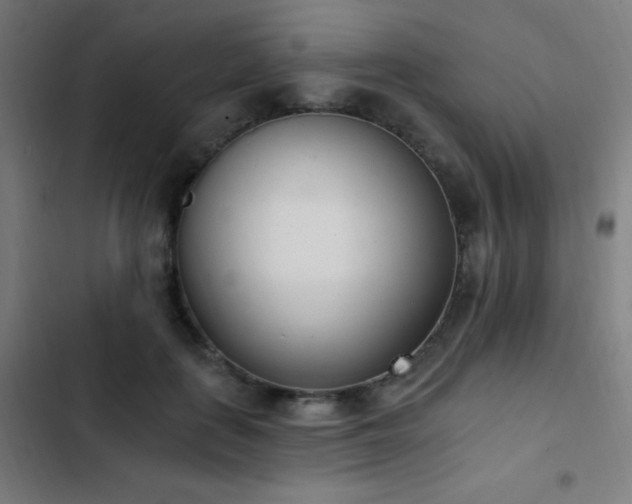 X0000103400651200809121243