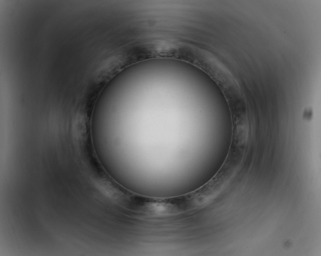 X0000103400654200809121243