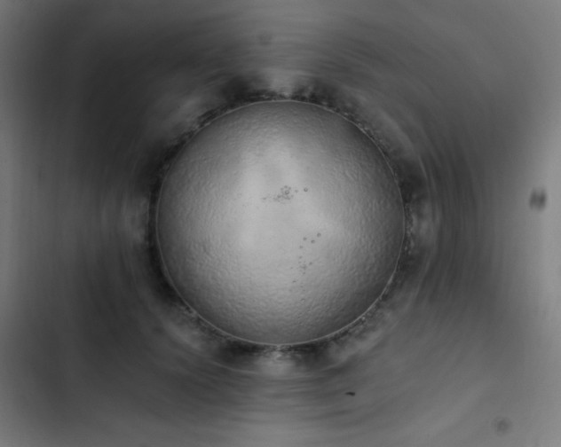 X0000103400656200809121243