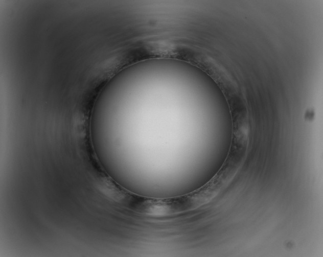 X0000103400658200809121243