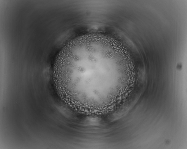 X0000103400659200809121243