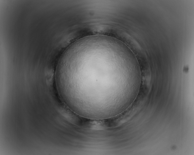 X0000103400660200809121243