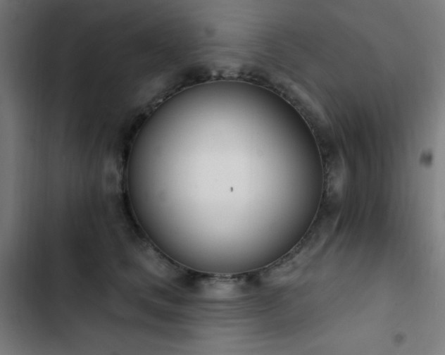 X0000103400661200809121243