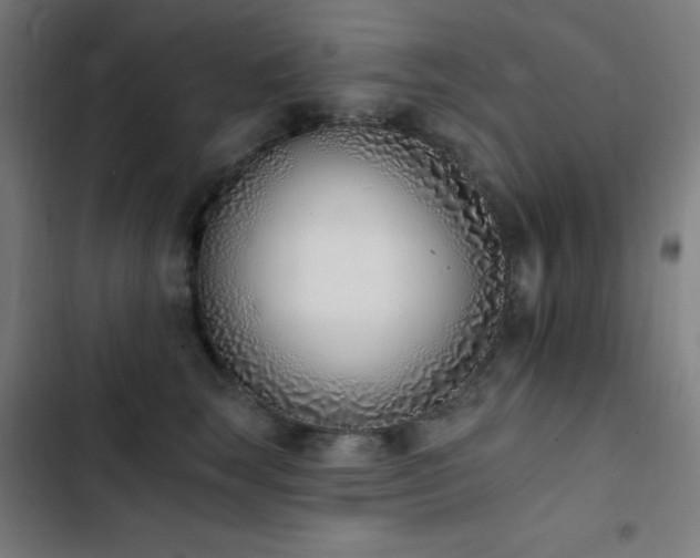 X0000103400663200809121243