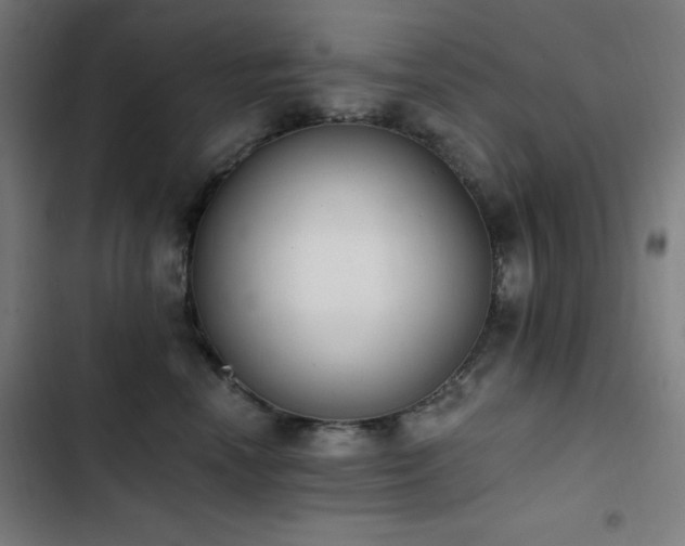 X0000103400666200809121243