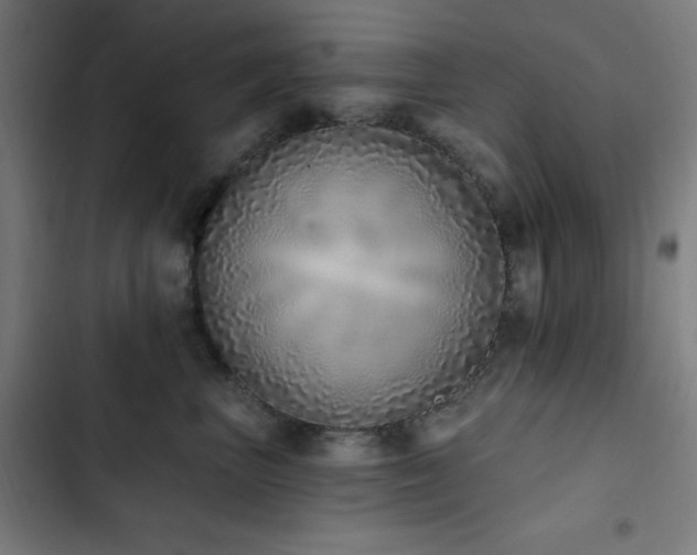 X0000103400667200809121243