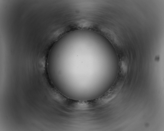 X0000103400668200809121243