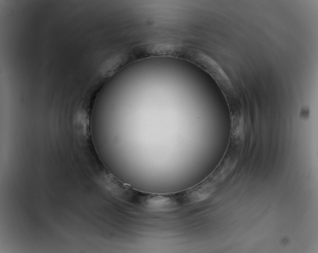 X0000103400669200809121243