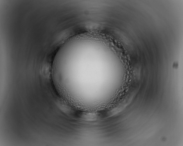 X0000103400671200809121243