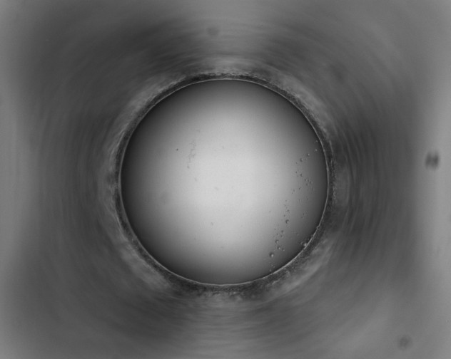 X0000103400673200809121242