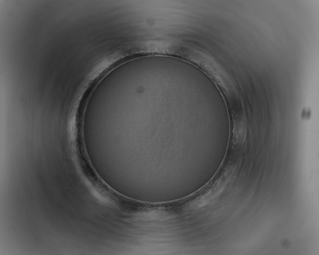 X0000103400674200809121242