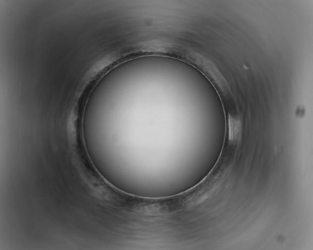 X0000103400675200809121242