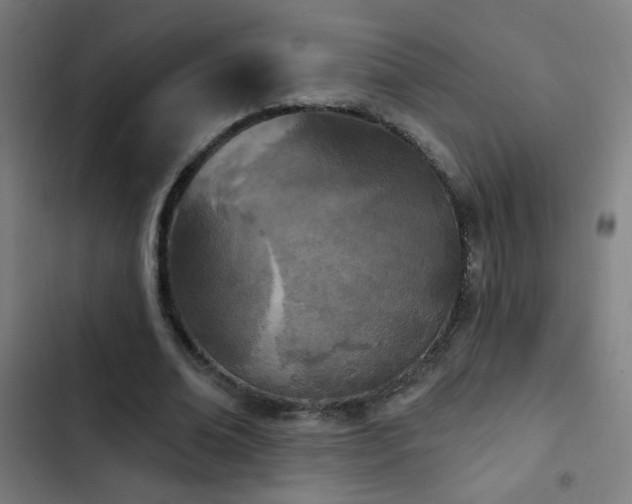 X0000103400678200809121242