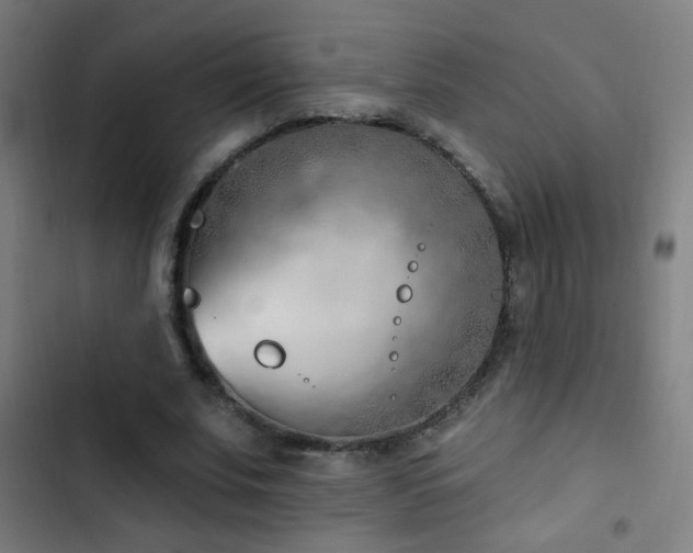 X0000103400679200809121242