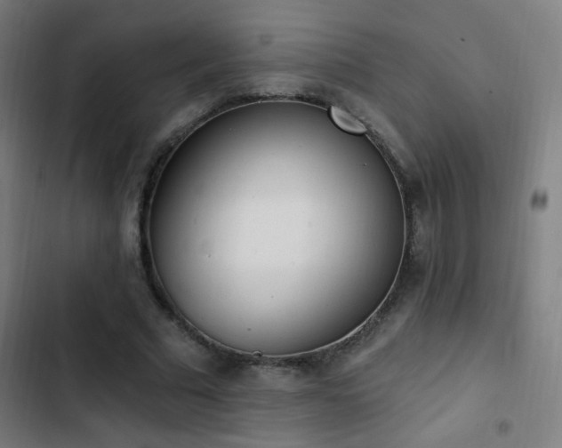 X0000103400681200809121242