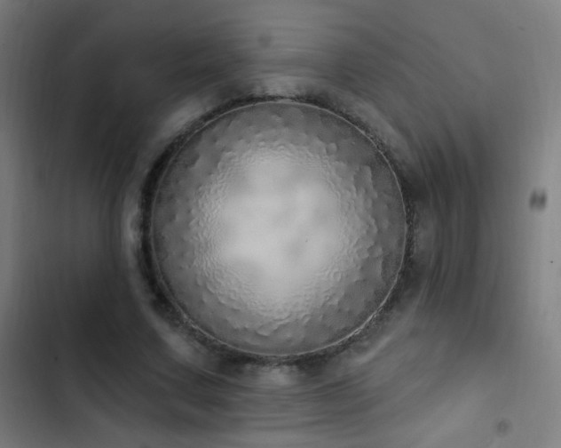 X0000103400683200809121242