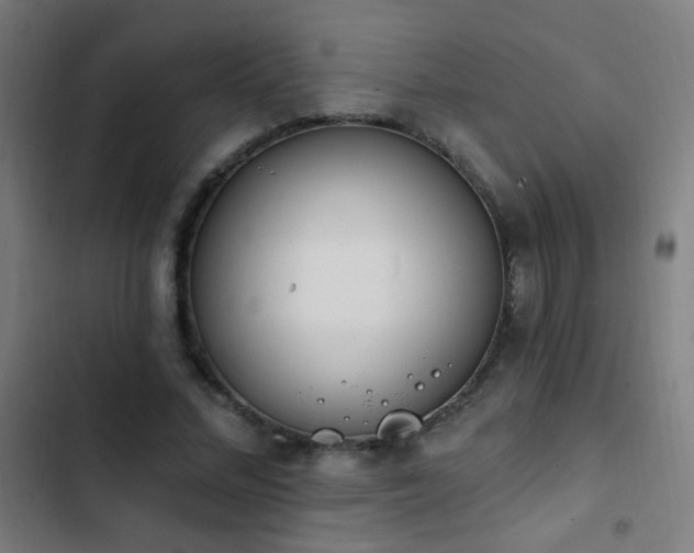 X0000103400684200809121242