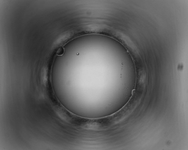 X0000103400685200809121242