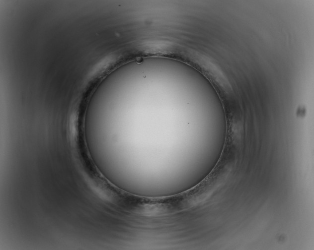 X0000103400686200809121242