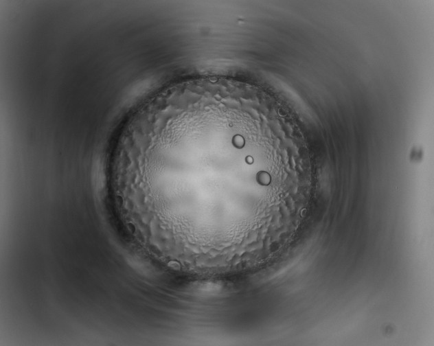 X0000103400687200809121242