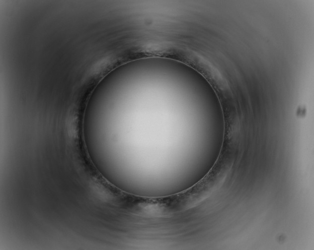 X0000103400689200809121242