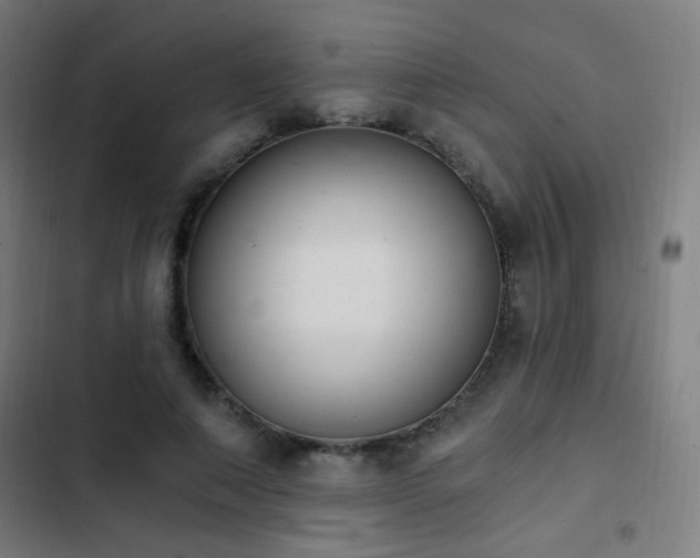 X0000103400690200809121242