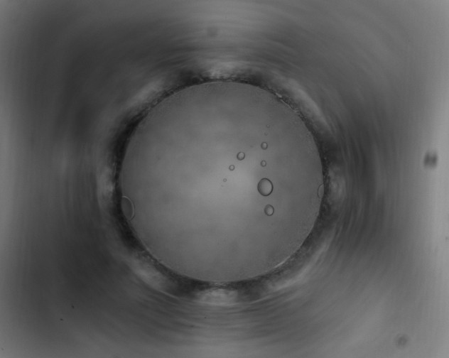 X0000103400691200809121242