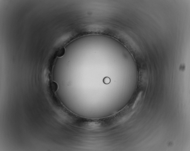 X0000103400692200809121242