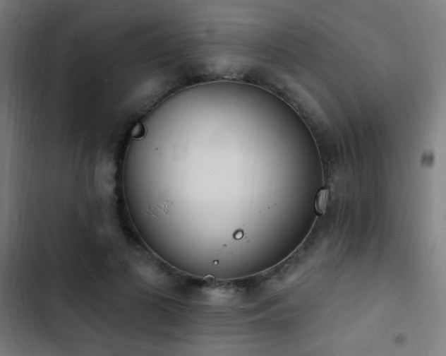 X0000103400693200809121242