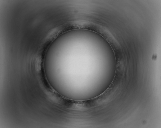 X0000103400694200809121242