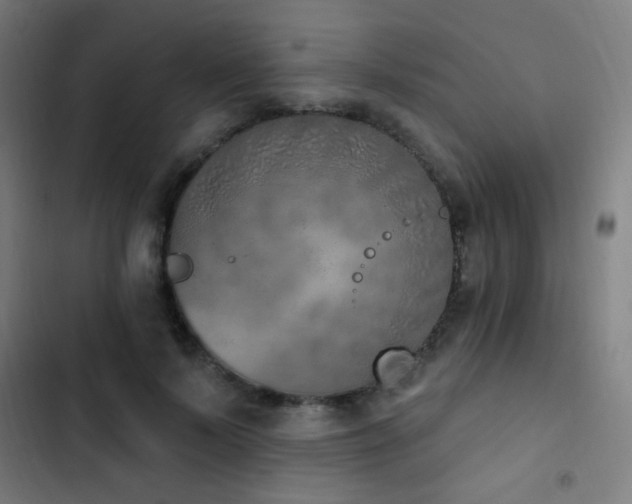 X0000103400695200809121242