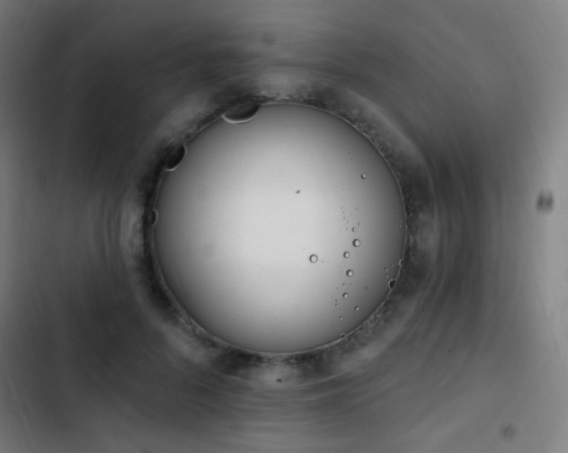 X0000103400696200809121242