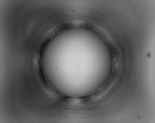 X0000103400698200809121242