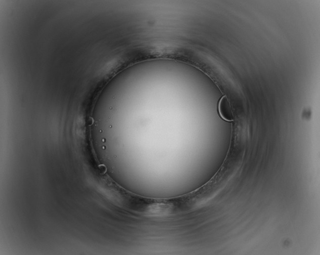 X0000103400700200809121242