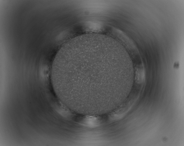 X0000103400701200809121242