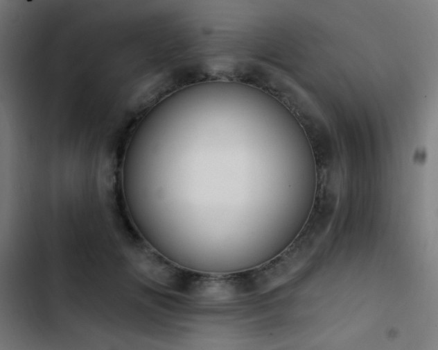 X0000103400702200809121242