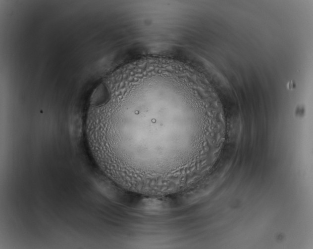 X0000103400703200809121242