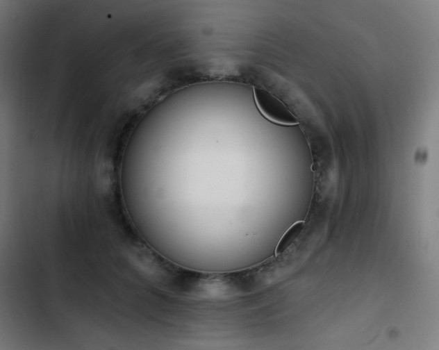 X0000103400704200809121242