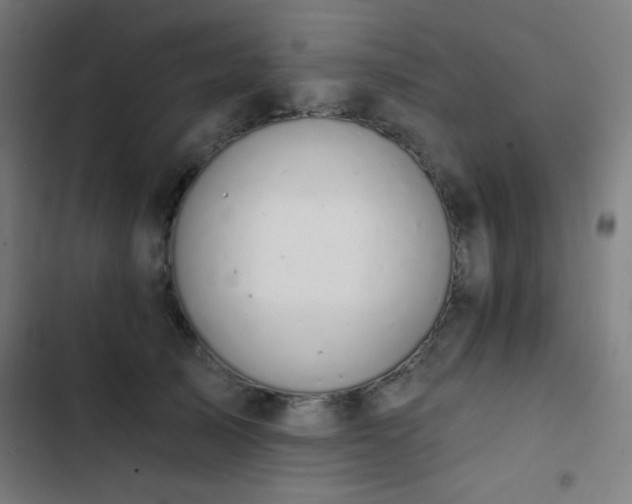 X0000103400705200809121242