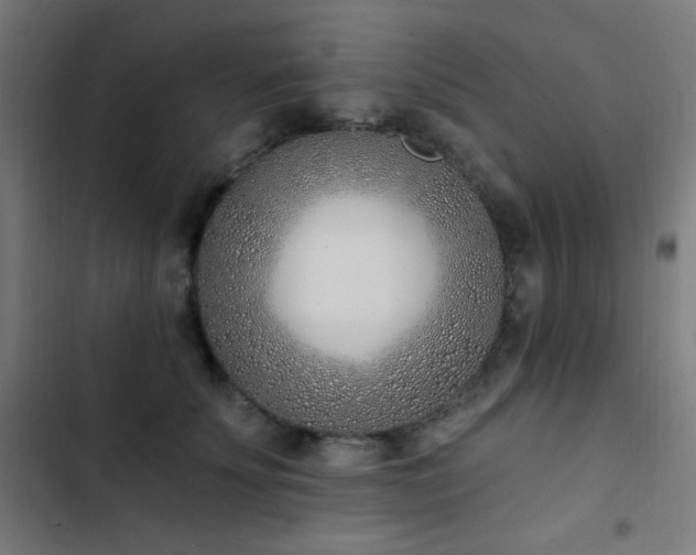 X0000103400707200809121242