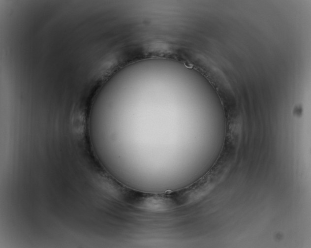 X0000103400708200809121242