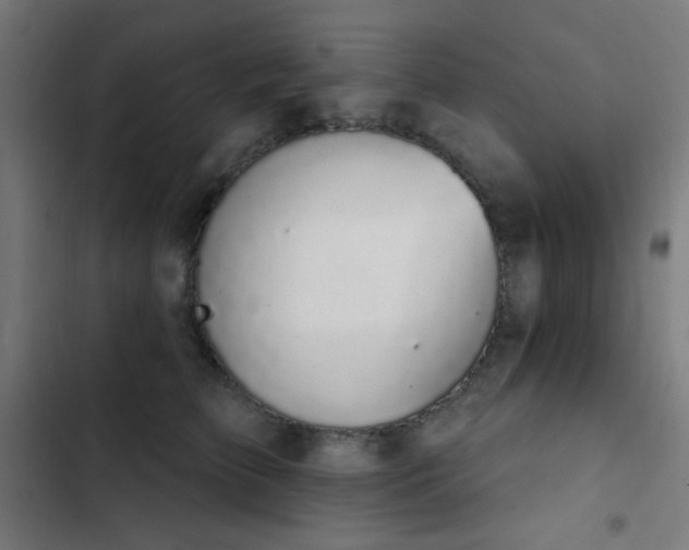 X0000103400709200809121242