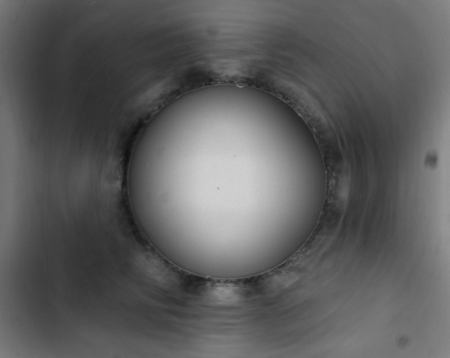 X0000103400710200809121242